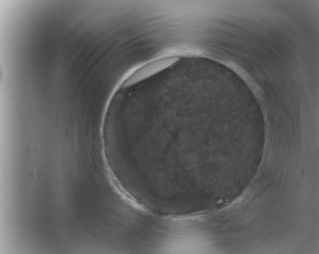 X0000063500864200602032016