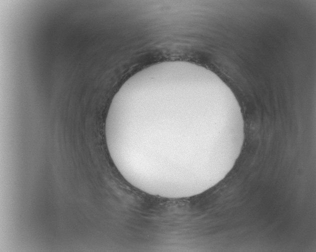 X0000063500865200602032015