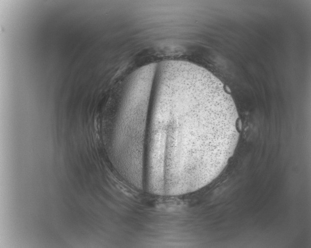 X0000063500866200602032015