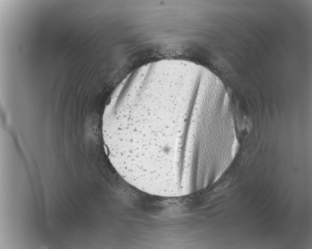 X0000063500867200602032015