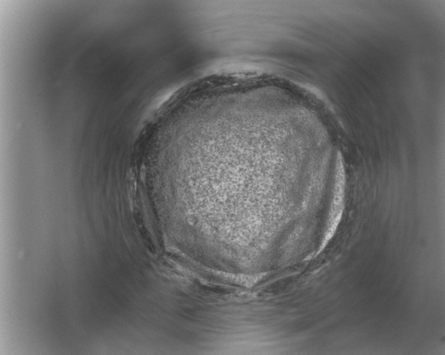 X0000063500871200602032015