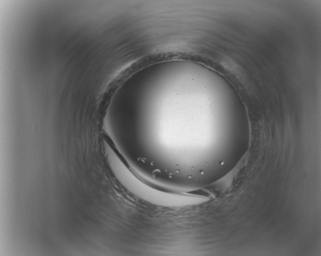 X0000063500872200602032015