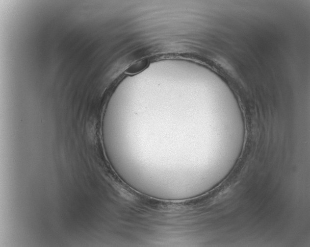 X0000063500873200602032015