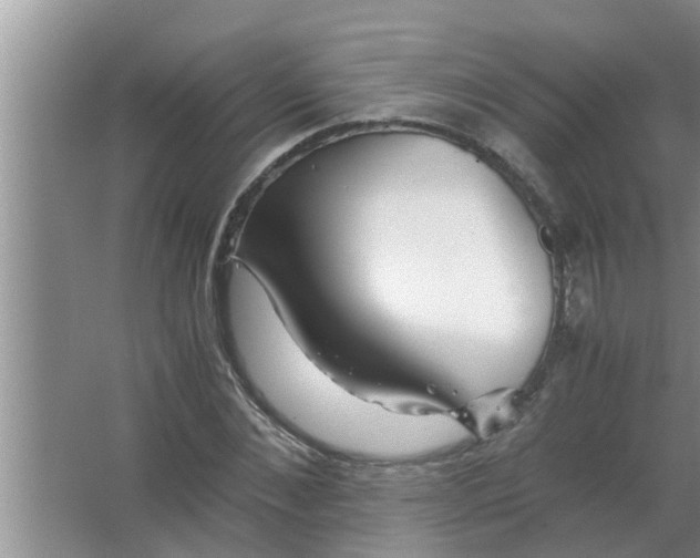 X0000063500876200602032015