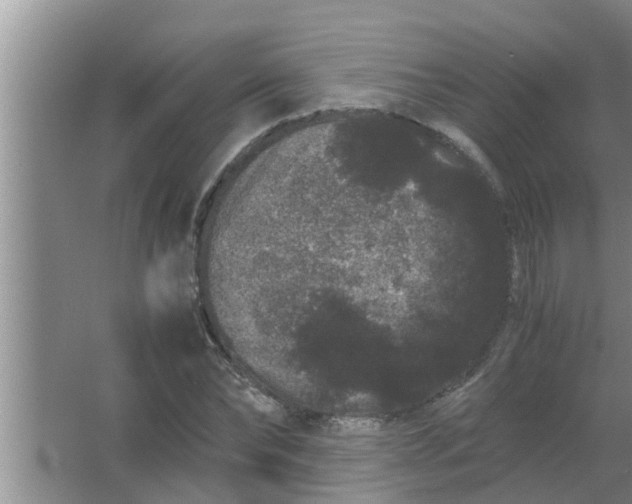 X0000063500878200602032015