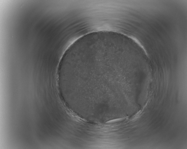 X0000063500879200602032015