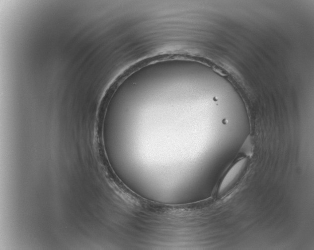 X0000063500880200602032015