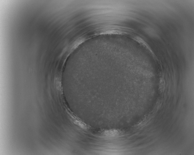 X0000063500882200602032015