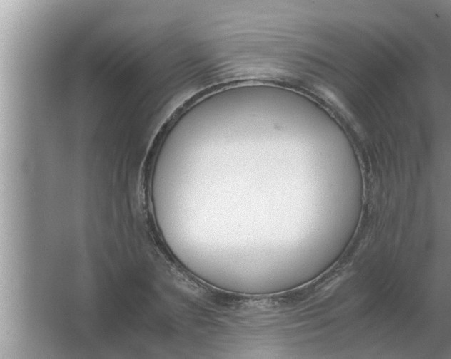 X0000063500883200602032015