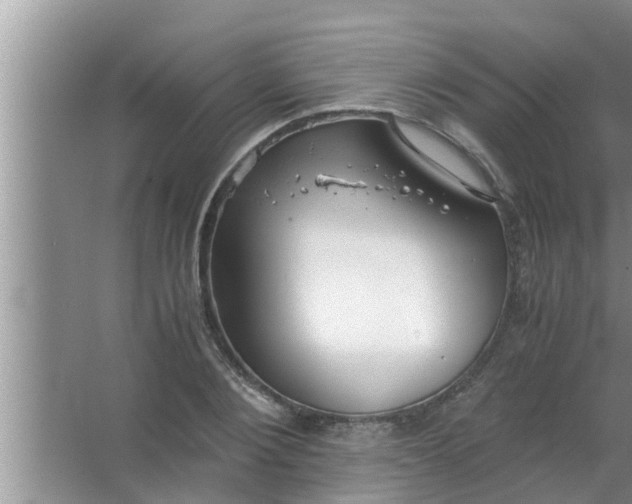 X0000063500884200602032014