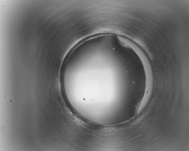 X0000063500888200602032014