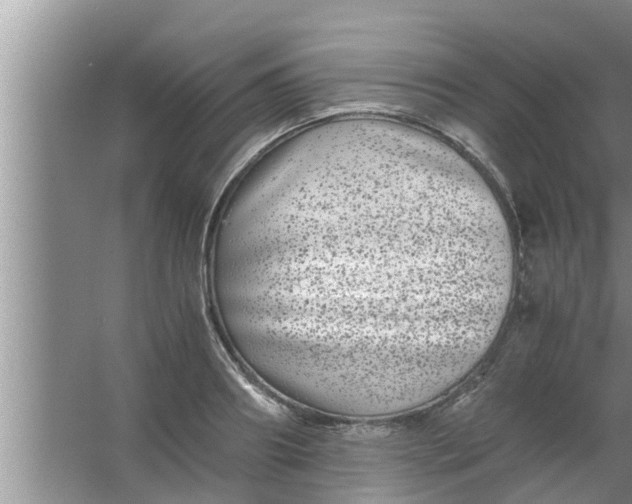 X0000063500890200602032014