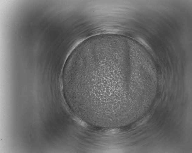 X0000063500891200602032014