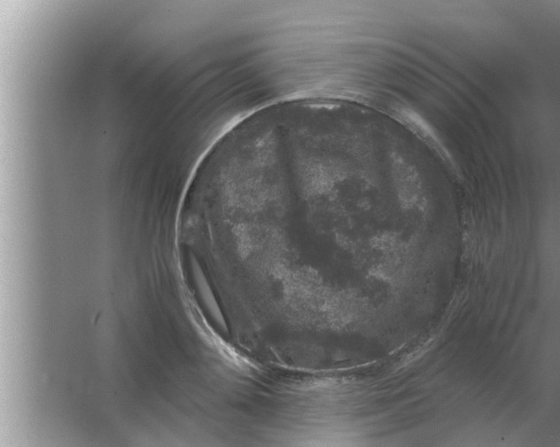 X0000063500892200602032014