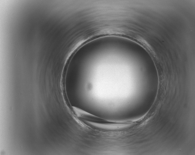 X0000063500893200602032014