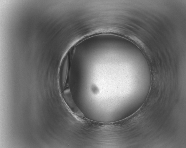 X0000063500894200602032014