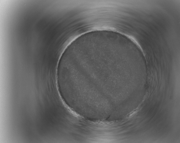 X0000063500895200602032014