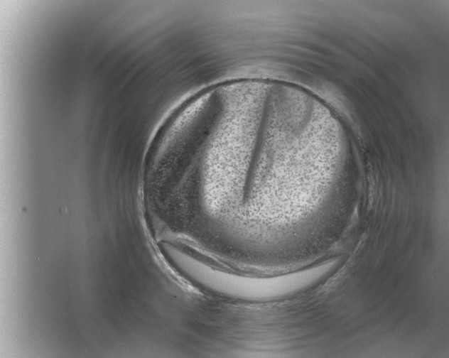 X0000063500896200602032014