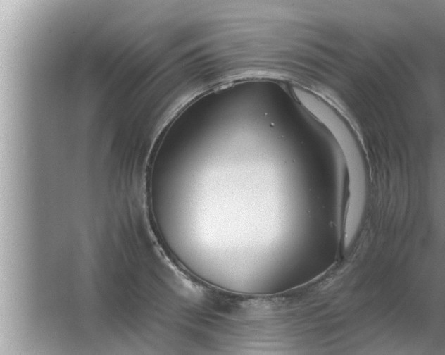 X0000063500898200602032014