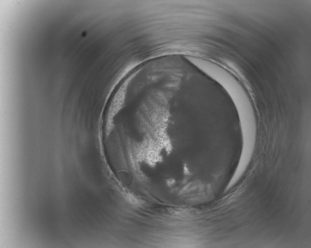 X0000063500899200602032014