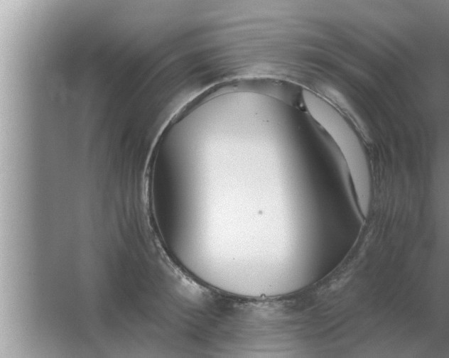 X0000063500900200602032014