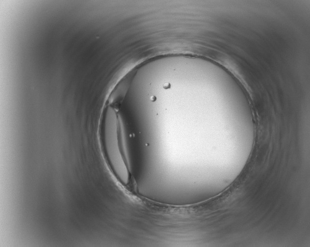 X0000063500901200602032014