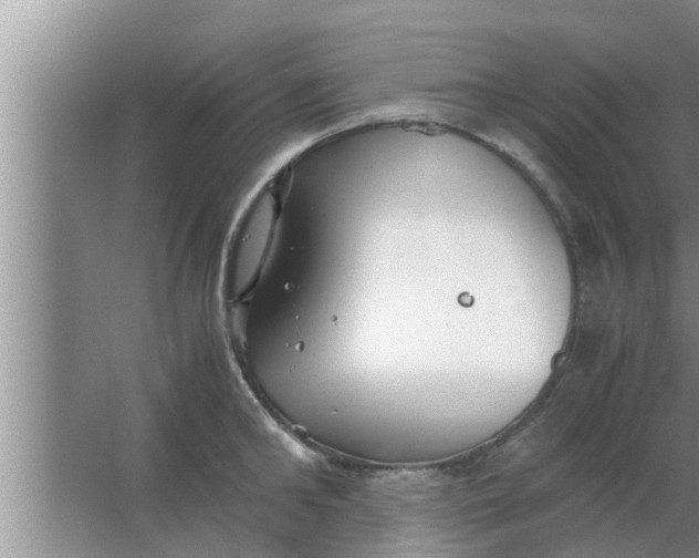 X0000063500902200602032014