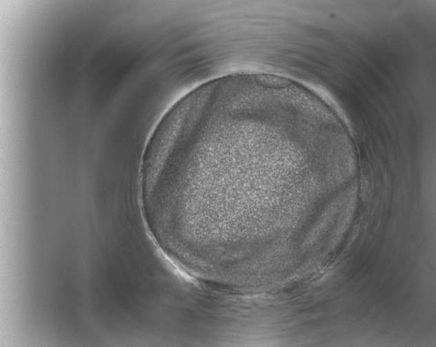 X0000063500903200602032014