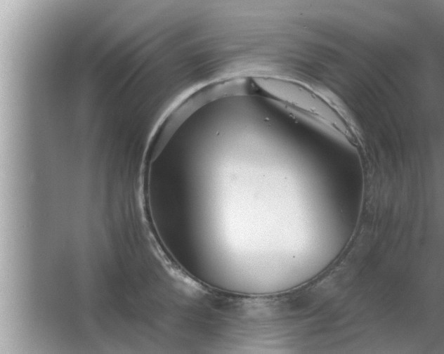 X0000063500904200602032014