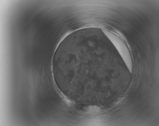 X0000063500907200602032014