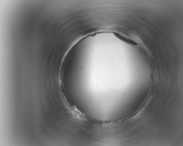 X0000063500908200602032014