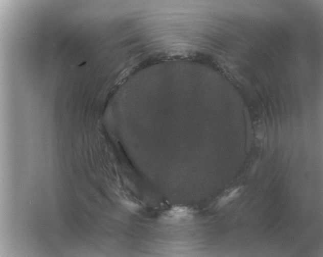 X0000063500916200602032013