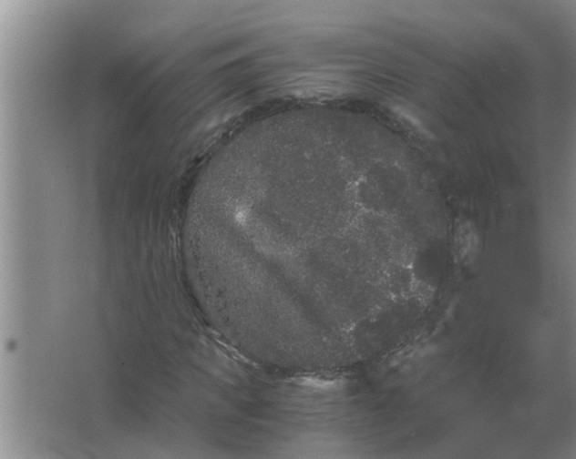 X0000063500917200602032013