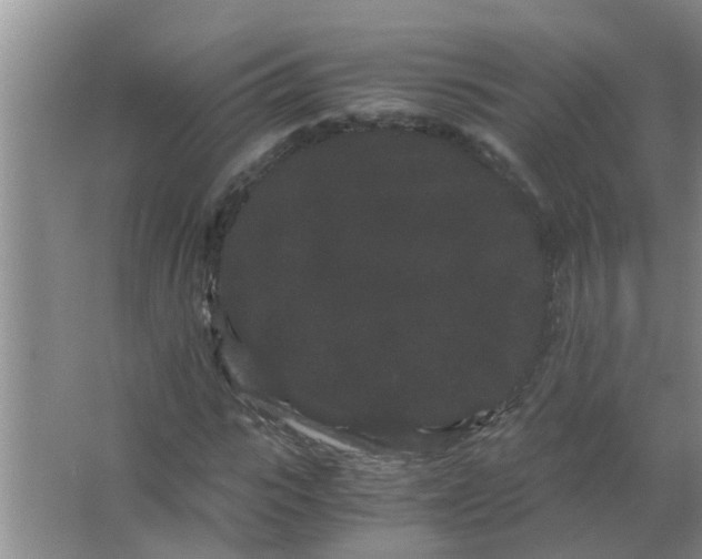 X0000063500919200602032013