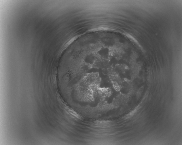 X0000063500921200602032013