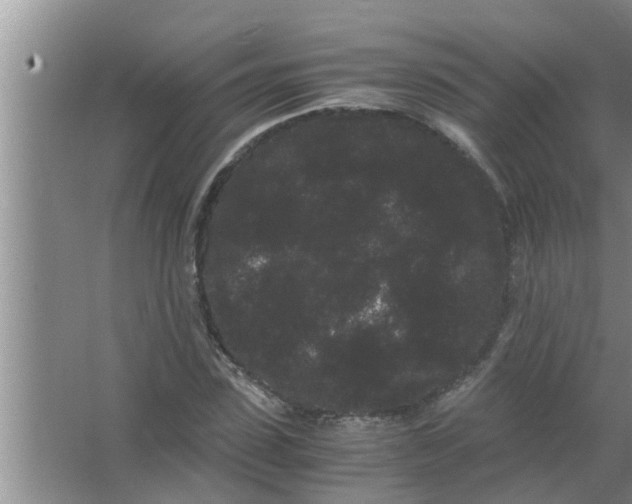 X0000063500923200602032013