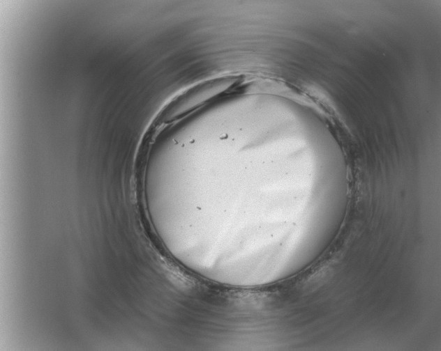 X0000063500924200602032013