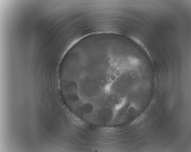 X0000063500925200602032013