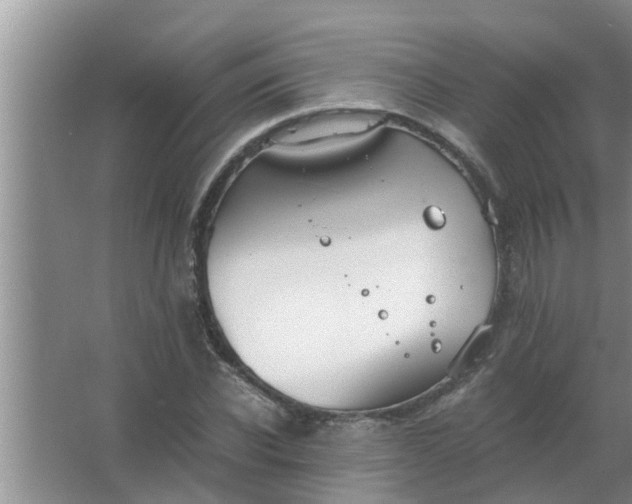 X0000063500926200602032013