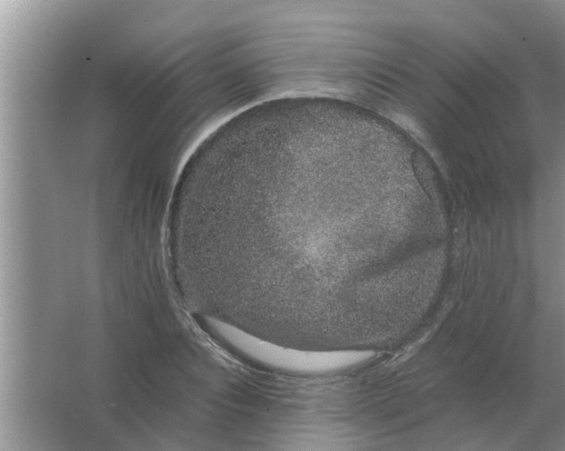 X0000063500928200602032013