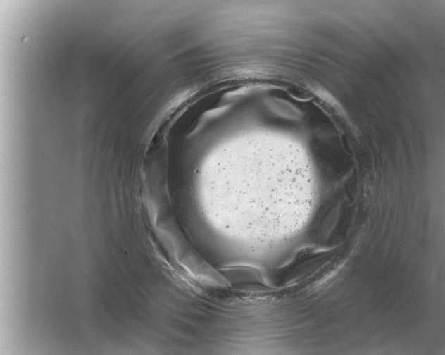 X0000063500930200602032013