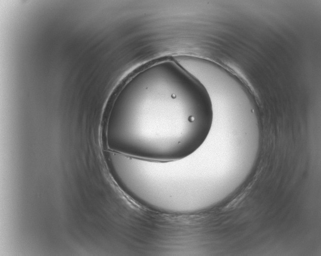 X0000063500932200602032014