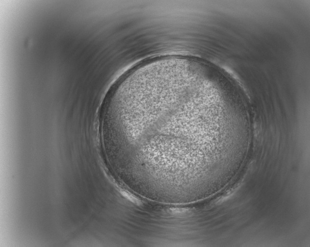 X0000063500933200602032014