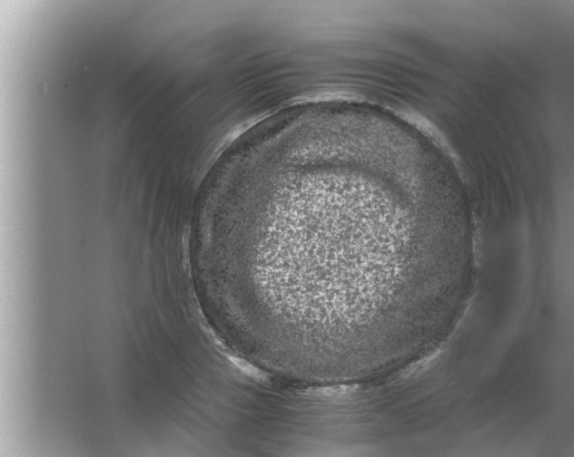 X0000063500937200602032014