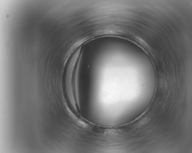 X0000063500938200602032014