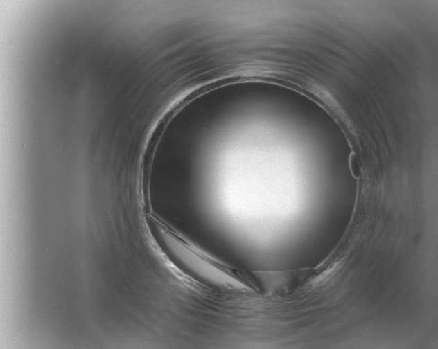 X0000063500939200602032014