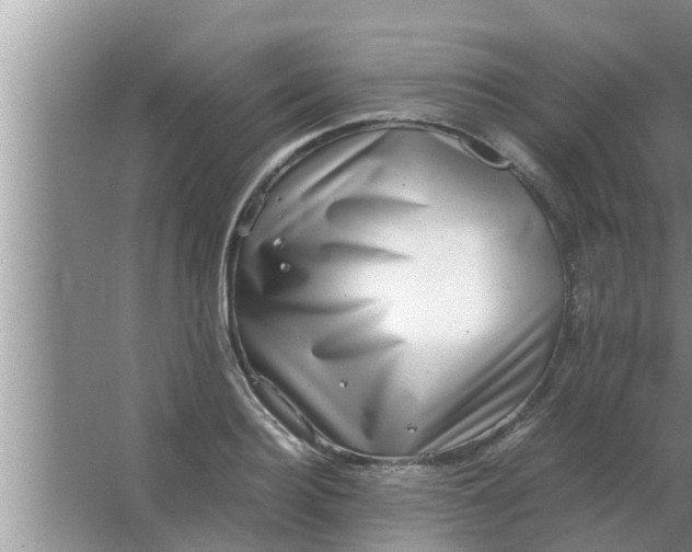 X0000063500940200602032014