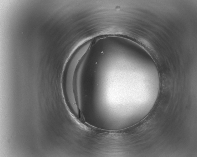 X0000063500942200602032014