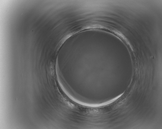 X0000063500945200602032014