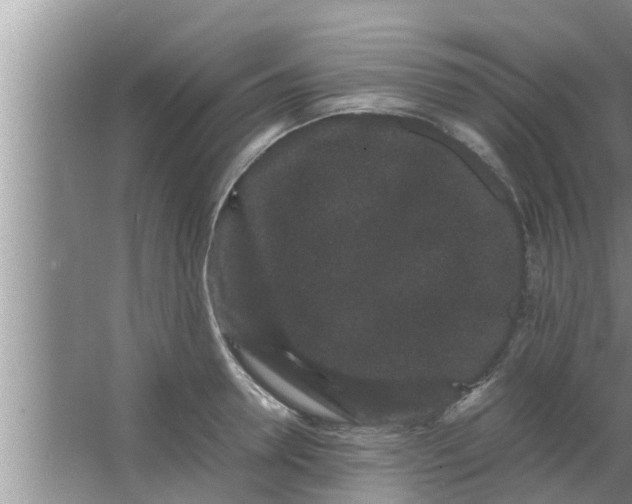 X0000063500946200602032014